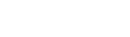 Web Services and API Development