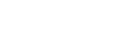 Wordpress Web Development services